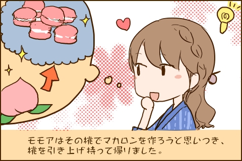 モモアはその桃でマカロンを作ろうと思いつき、桃を引き上げ持って帰りました。