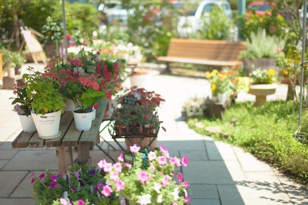img_gardening_sharehouse_07