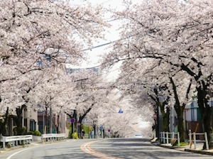 img_nagoya_fuji_01