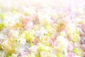 img_hiroshima_elegant_17