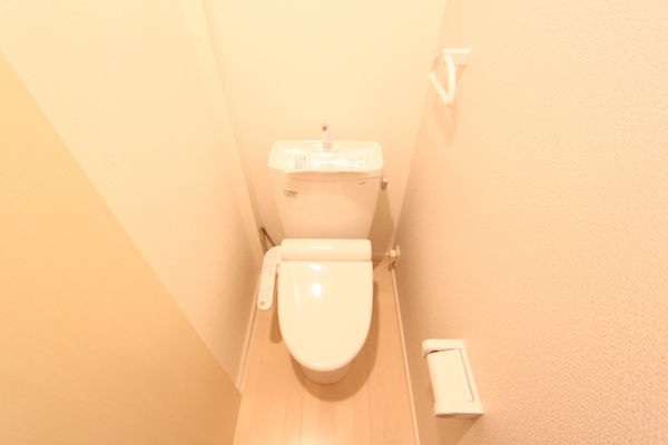 img_cleaning_toilet_51
