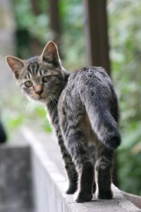 img_question_estimate_02