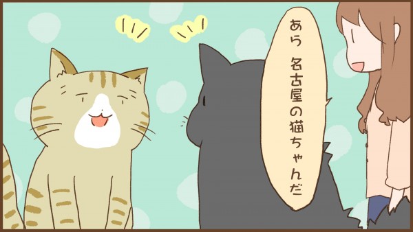 img_kuronishiki_nagoya_02