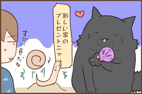 img_kuronishiki_snail_04