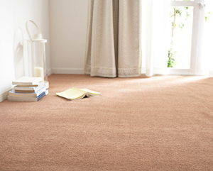 img_carpet_91