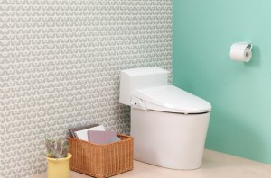 img_fusui_toilet90