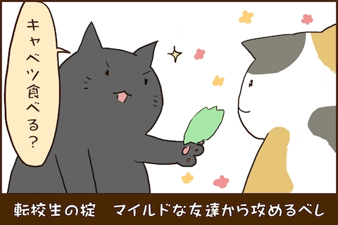 img_kuronishiki_friends_04