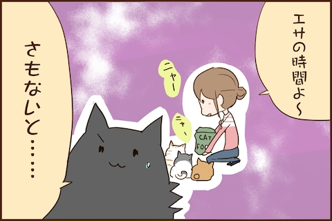 img_kuronishiki_early03