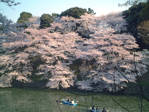 kudanshita