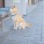 下町の風情が残る名古屋の繁華街は?
