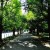 都会だけど落ち着いてて家族で住みやすい東京の街は?